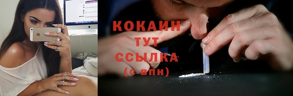 mdpv Горняк