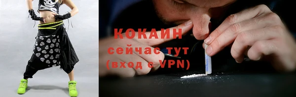 соль курить ск Горно-Алтайск